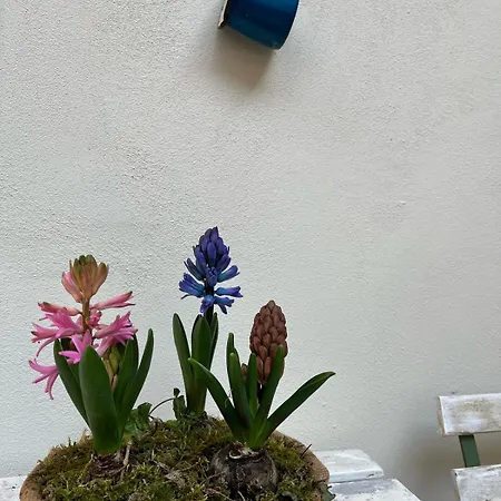 Apartament Il Cortiletto Sotto La Mole Turyn