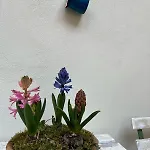דירה Il Cortiletto Sotto La Mole טורינו